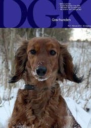DGK Gravhunden Danish Dachshund Club Magazine - Clay to Collector
