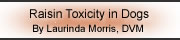 Raisin Toxicity in Dogs by Laurinda Morris DVM