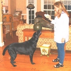 Canine sculpture in bronze by Joy Beckner