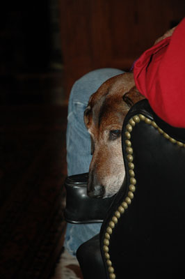 Joy Beckner fine bronze Dachshund sculpture