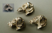Click here for more info on the above Fine Jewelry Pins