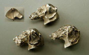 Click here for more info on the above Fine Jewelry Pins