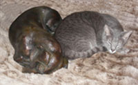 bronze dachshund sculpture by Joy Beckner