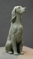 Click on this bronze Gordon Setter sculpture in progress to view large screen-size
