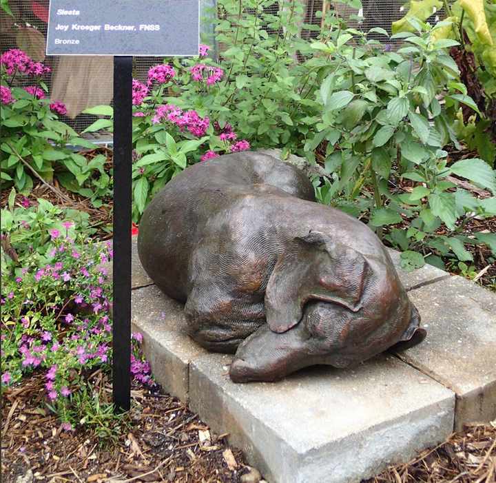 Siesta SS Life size Standard Smooth Dachshund Bronze Sculpture by Siesta SS Life size Standard Smooth Dachshund Bronze Sculpture by