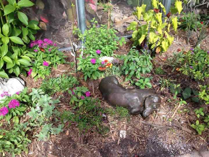 Siesta SS life-size bronze Dachshund sculpture by Joy Beckner