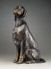 Big Heart (Gordon Setter)